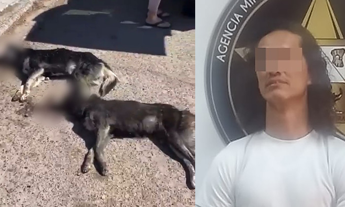 Capturan a sujeto por crueldad animal en Ciudad Obregón