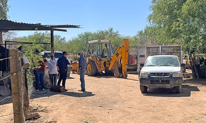 Investigan mortandad de animales en rancho de Hermosillo