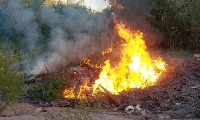 Provocan incendio en predio en Guaymas Norte