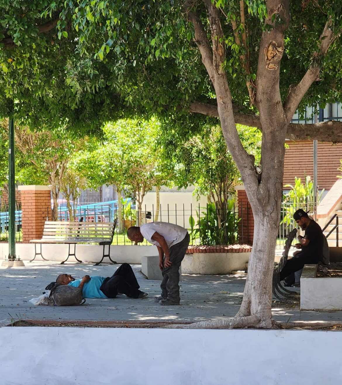 Hermosillenses buscan sombra para protegerse del calor