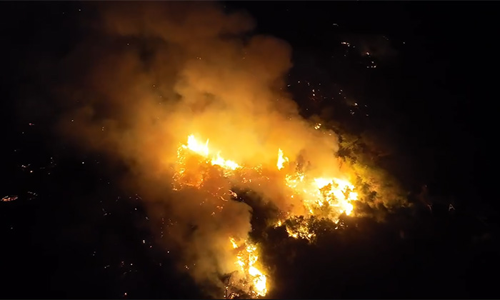 Sofocan bomberos incendio forestal en las inmediaciones de la presa El Molinito