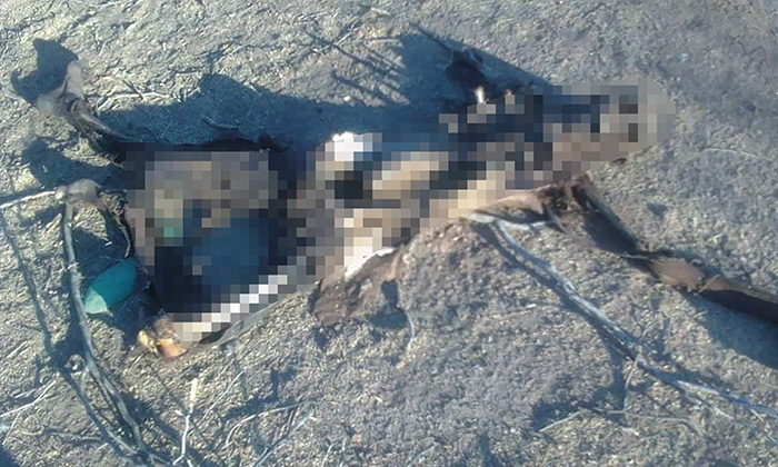 Localizan Buscadoras un cadáver en la Costa de Hermosillo