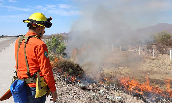 Sofocan incendio en carretera federal en el tramo Hermosillo Guaymas