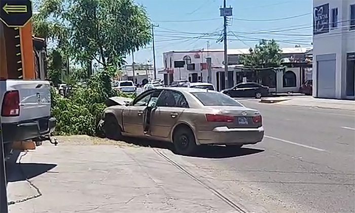 Se impacta automóvil contra árbol en la colonia San Benito