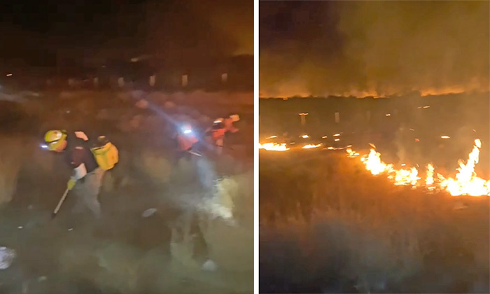 Combaten incendio forestal al borde la carretera federal en el tramo Hermosillo Guaymas