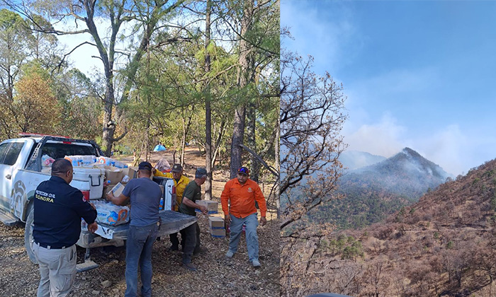Liquidan incendio forestal en Yécora; Afectó mil 817 hectáreas