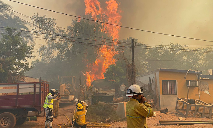 Aterroriza incendio forestal en Guaymas