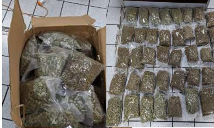 Hallan carga de mariguana en empresa de paquetería en Hermosillo