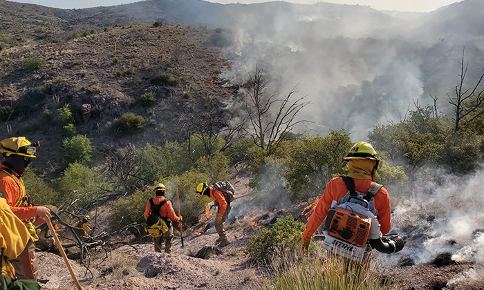 Atienden incendio forestal fronterizo; Autoridades de Sonora