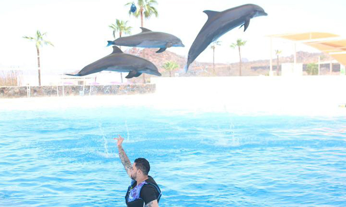 Invitan a visitar el Centro Ecológico durante estas vacaciones