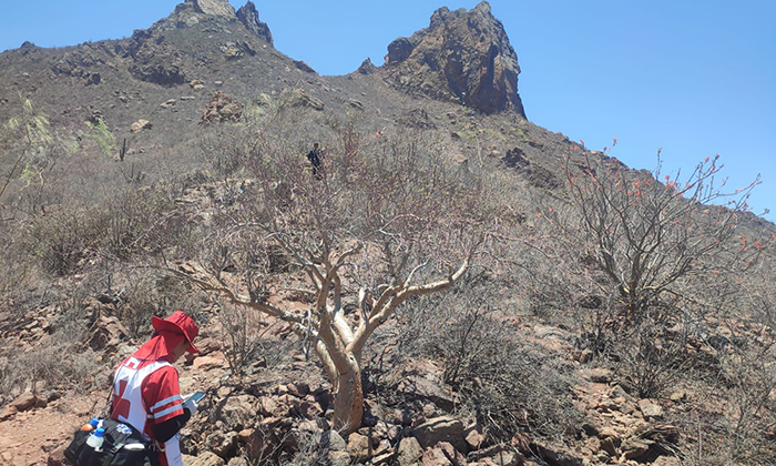 Exhorta CRM extremar precauciones al subir cerro Tetakawi