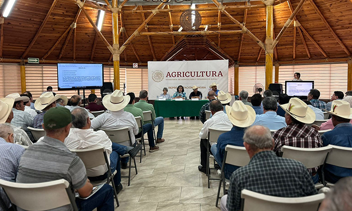 Analizan reconversión de cultivo: Autoridades de Sagarhpa y Sader