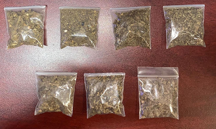 Sorprenden a tres sujetos con “mota”; Agentes preventivos