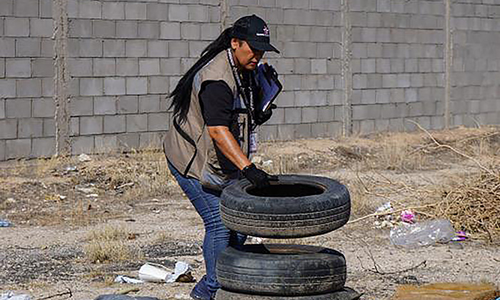 Trabajan en acciones para prevenir dengue; Autoridades de Salud