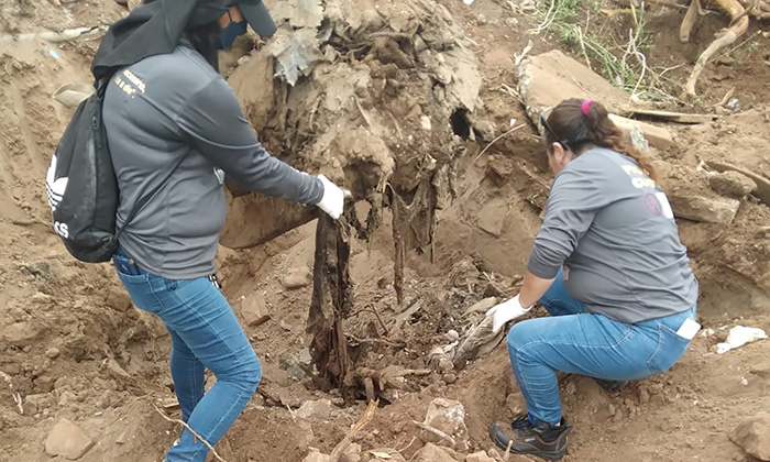 Localizan restos humanos en fosa clandestina en San José de Guaymas