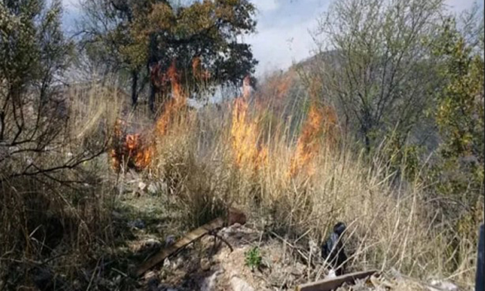 Se incendia lote baldío en la colonia Centro