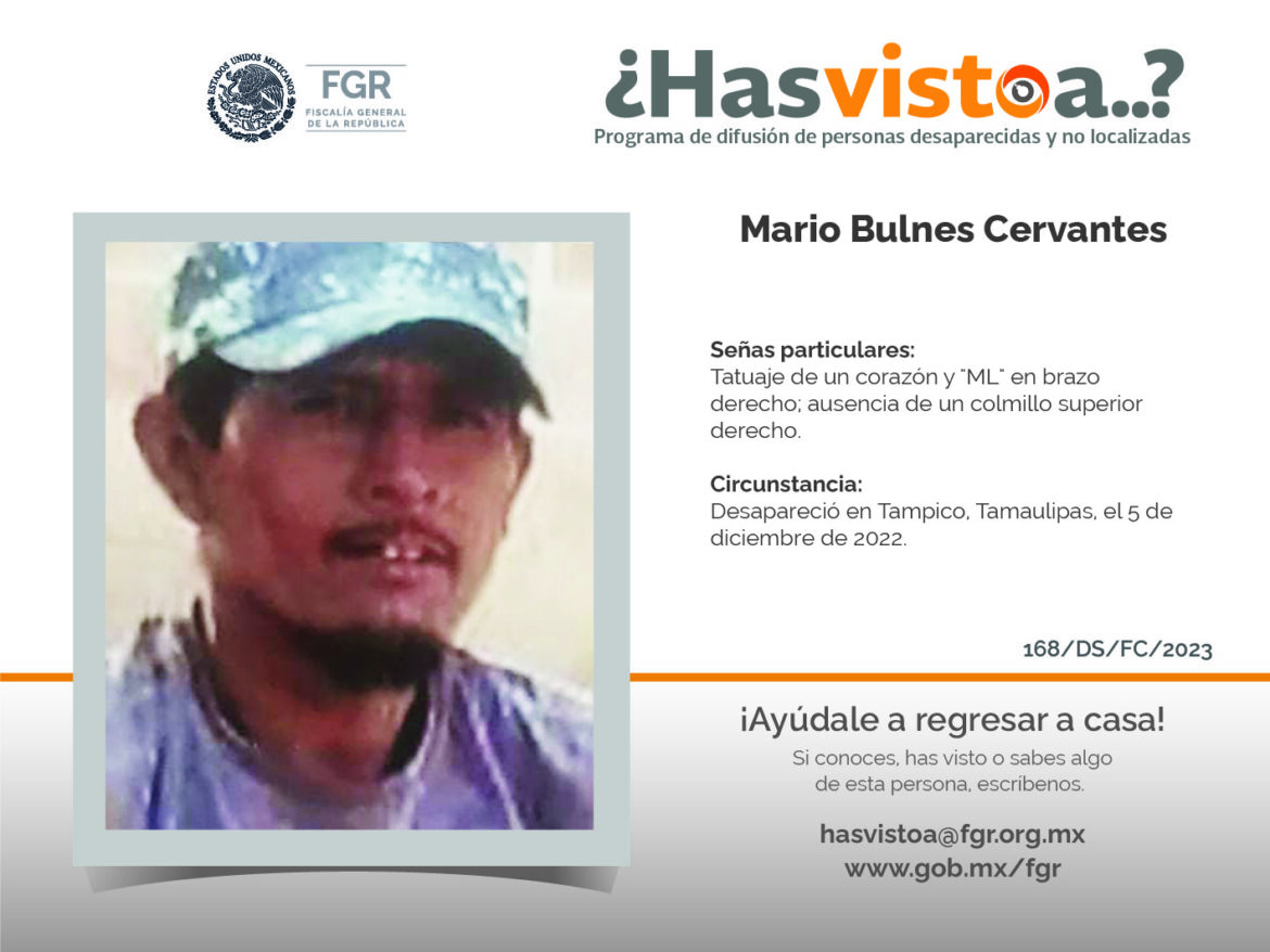 ¿Has visto a: Mario Bulnes Cervantes?