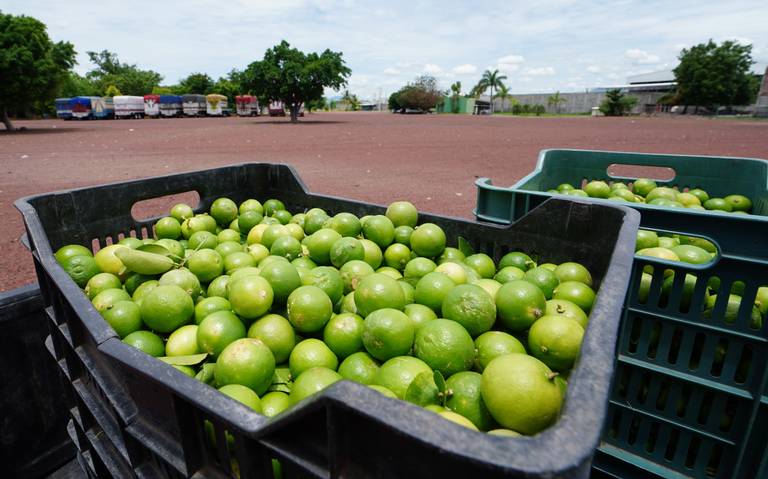 Narcoinflación en México: El Impacto del Crimen Organizado en los Precios