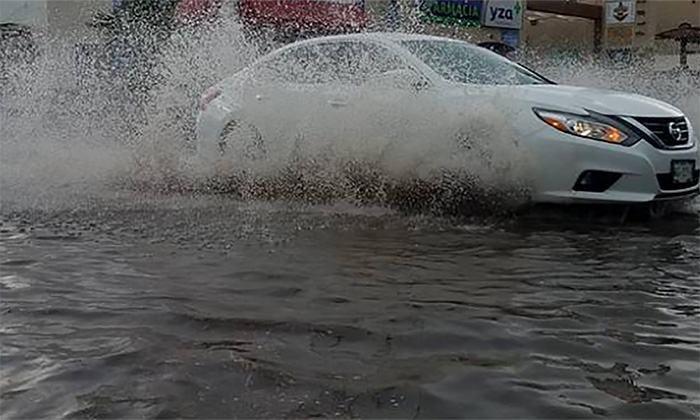 Tormenta derriba árboles y cableado en la ciudad; Causa encharcamientos