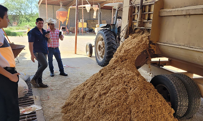 Capacitan a productores sobre conservación de bagazo; Personal de Sagarhpa y UGRS