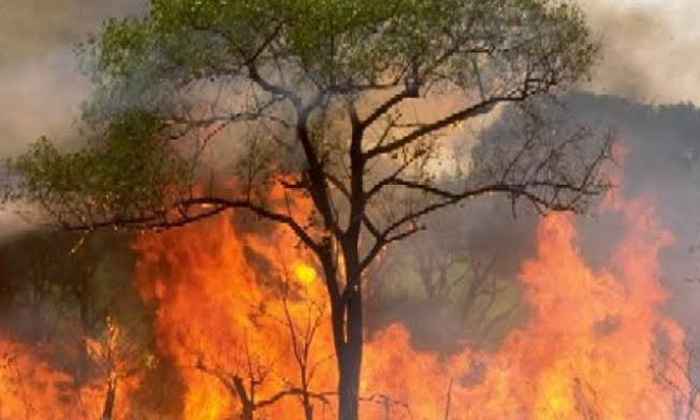 Se incendia predio en la colonia Independencia