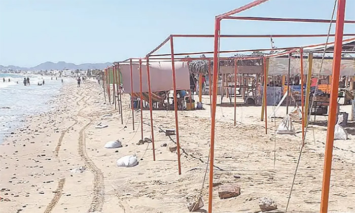 Buscan sustituir carpas por sombrillas en Bahía de Kino