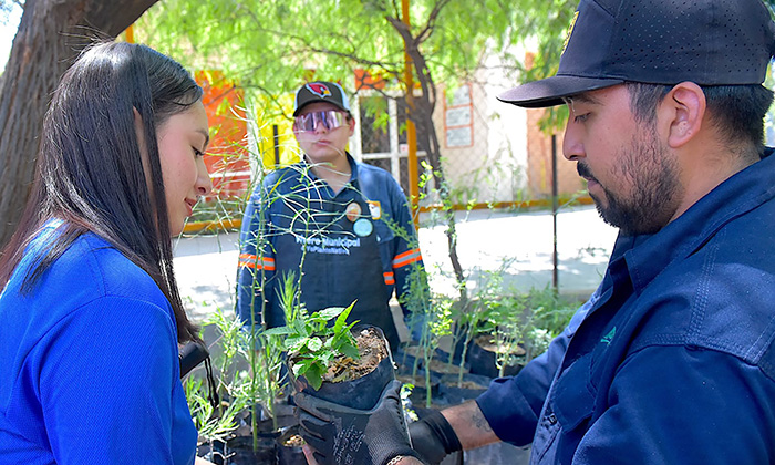 Donará Gobierno de Hermosillo árboles nativos; Mañana viernes