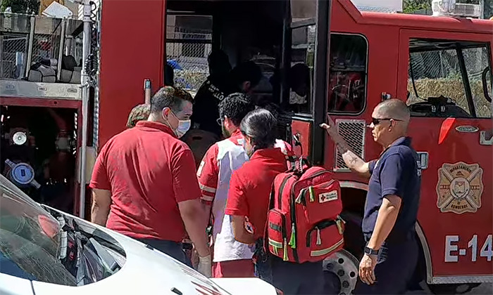 Atacan abejas a tres menores de edad; Fueron llevados a un hospital