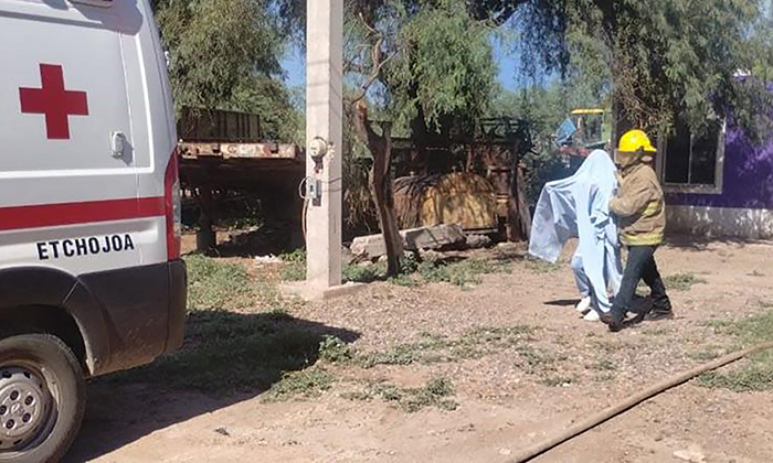 Atacan abejas a más de 50 personas en Etchojoa