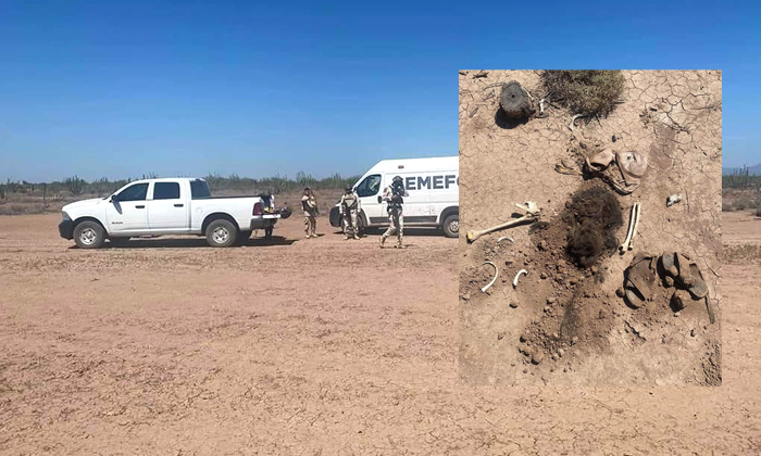 Localizan osamenta en Vicam