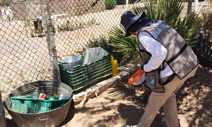 Acumula Sonora 152 casos de dengue durante este año