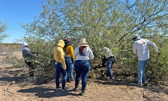 Hallan buscadoras restos óseos en la Costa de Hermosillo