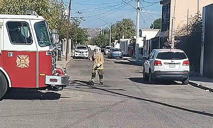 Deja ataque de abejas dos lesionados en la colonia Balderrama