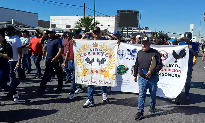 Desquician galleros el tráfico durante marcha; Llegan a acuerdos con autoridades