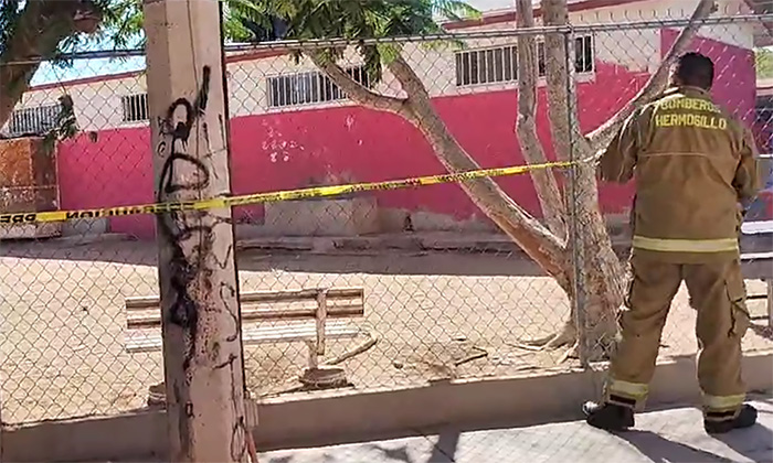 Moviliza a bomberos panal de abejas en escuela en la colonia Nuevo Hermosillo