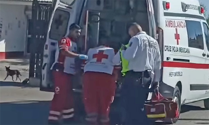 Arrolla camioneta a un menor en la colonia Puerta del Rey