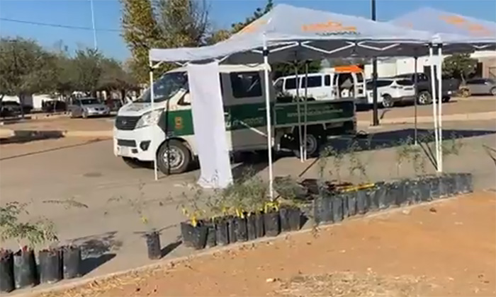 Reforestan parque de la colonia La Cholla mediante programa Hermosillo Crece Verde