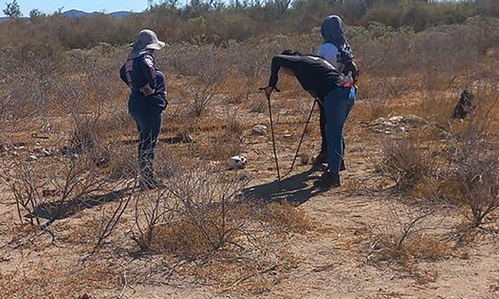 Localizan rastreadoras osamenta humana en San José de Guaymas