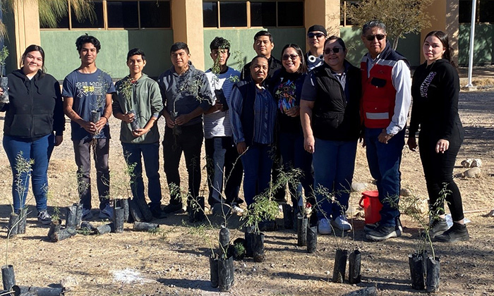 Impulsa Universidad Tecnológica de Hermosillo adaptación climática en áreas verdes