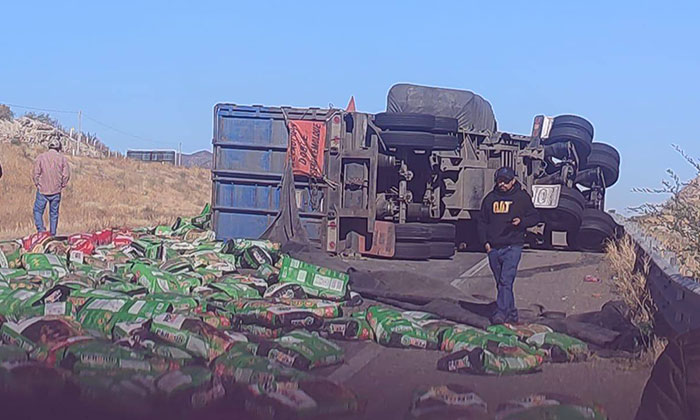 Vuelca tráiler cargado con croquetas a la altura de Estación Pesqueira