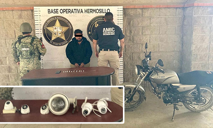 Capturan a “halcón” con cámaras en la colonia Nuevo Hermosillo