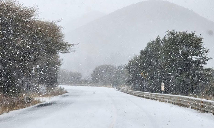 Azota tormenta invernal a Sonora; Cubre de blanco la zona serrana