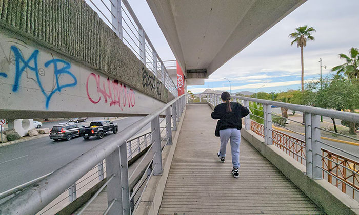 Falta mantenimiento a Puente peatonal en el bulevar Luis Encinas