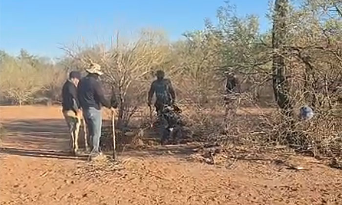 Confirma hallazgo de restos humanos en fosas; El Fiscal de Justicia del Estado