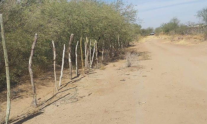 Localizan a desconocido sin vida en el valle de Empalme