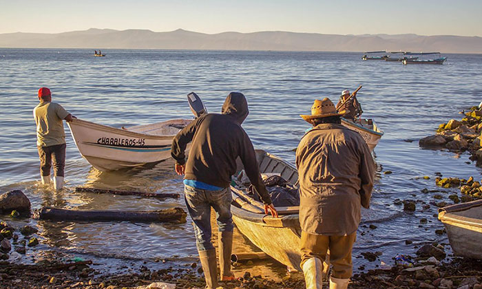 Alerta por fraudes a beneficiarios de Bienpesca; La Conapesca