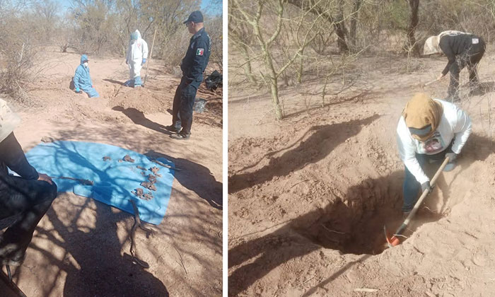 Aumenta hallazgo de restos humanos en el panteón clandestino de la carretera 26