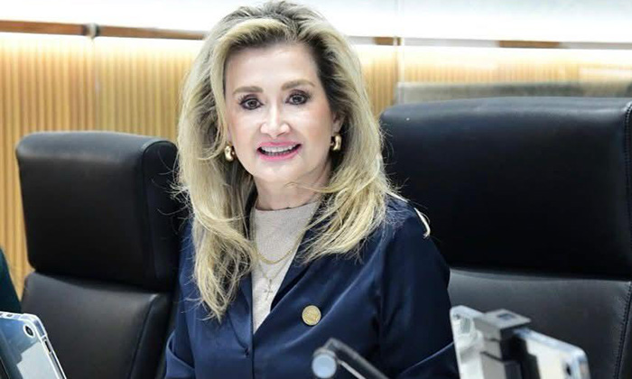 Se ve avance en construcción de vivienda: Diputada Ely Sallard