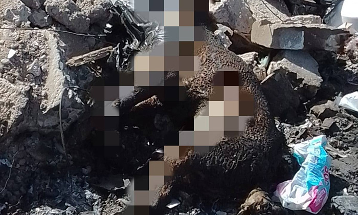 Investiga FGJE muertes de animales en la colonia Villa Verde