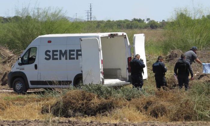 Hallan a hombre sin vida en el valle del Yaqui